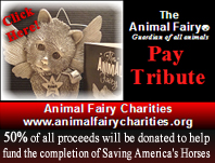 Animal Fairies Charities