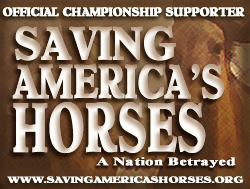 Saving Americas Horses