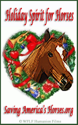 Holiday Spirit for Horses Campaign BNR