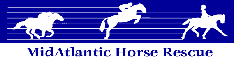 Nid Atlantic Horse Rescue
