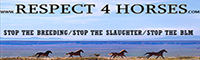 Respect 4 Horses