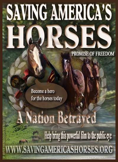 Hero for Horses