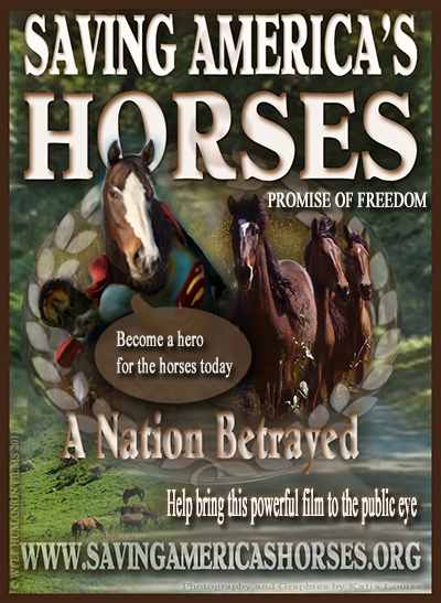 Be A Hero for Horses BNR