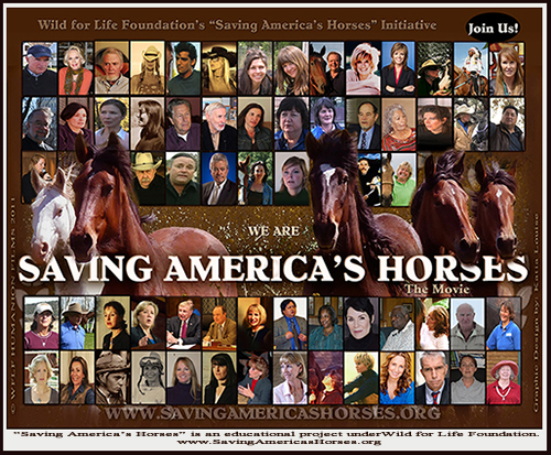 Saving America's Horses Cast BNR