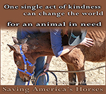 One single act of kindness can change the world for an animal in need