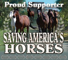 SAH-Proud-Supporter