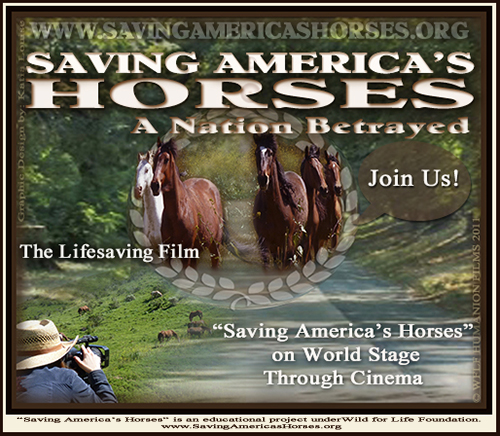 Saving America's Horses Join Us BNR