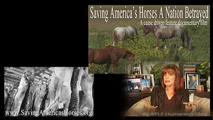 Defund Horse Slaughter