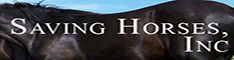 SavingHorsesIncBNR