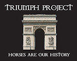 The Triunph Project