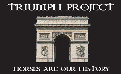 The Triumph Project