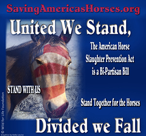 Take the Pledge to Stand United for the Horses