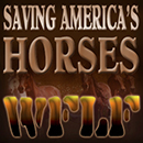WFLF Saving America's Horses