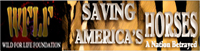 WFLF Saving America's Horses