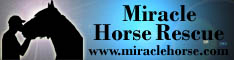 Miracle Horse Rescue