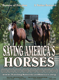 Official Saving America's Horses Banner
