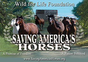 Saving America's Horses Educational Project
